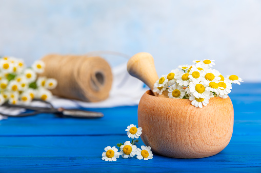 Mortar with a bouquet of chamomile flowers on a  background. The concept of natural herbal organic cosmetics, homeopathic cosmetology. Medicinal herbs. Place for text. copy space.