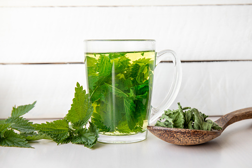 Herbal tea made of dry Urtica dioica, known as common nettle, burn nettle or stinging nettle leaves in clear glass cup. White wood board background in home kitchen.
