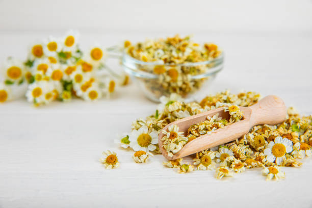 istock Dried chamomile tea in a bowl on a texture table.dry chamomile. Chamomile tea. flat lay. Composition with a bouquet and chamomile inflorescences in a mortar. Herbal drink. Soothing and tonic tea. 1688489551