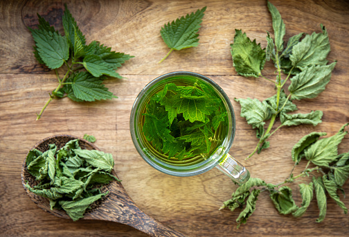 Above view of herbal tea made of dry Urtica dioica, known as common nettle, burn nettle or stinging nettle leaves in clear glass cup. Wood board background in home kitchen.