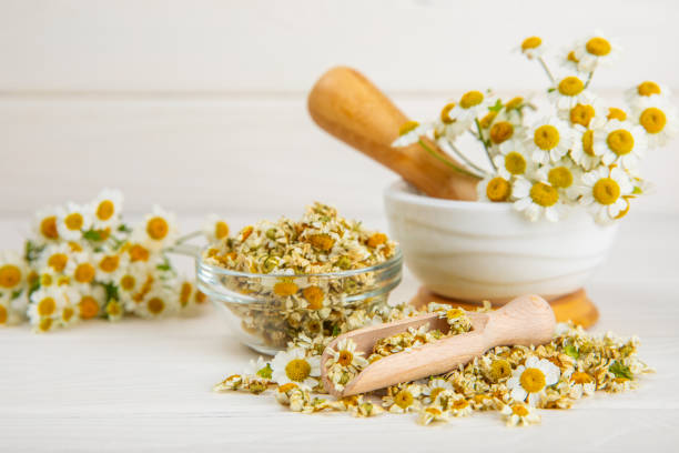 istock Dried chamomile tea in a bowl on a texture table.dry chamomile. Chamomile tea. flat lay. Composition with a bouquet and chamomile inflorescences in a mortar. Herbal drink. Soothing and tonic tea. 1688501856