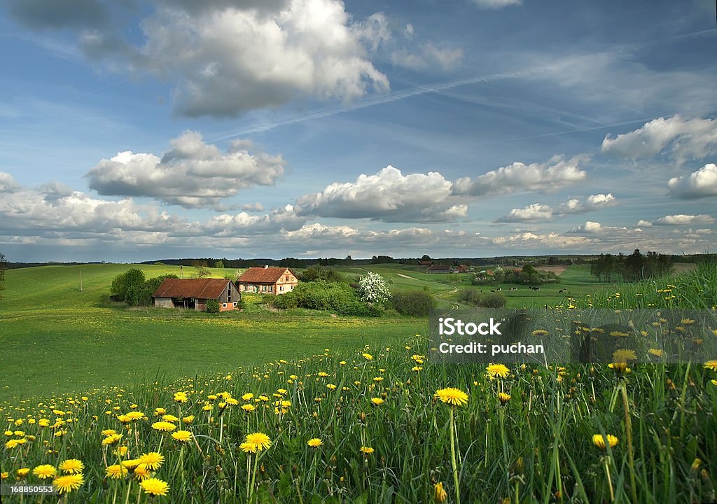 Primavera paesaggio rurale - Foto stock royalty-free di Agricoltura