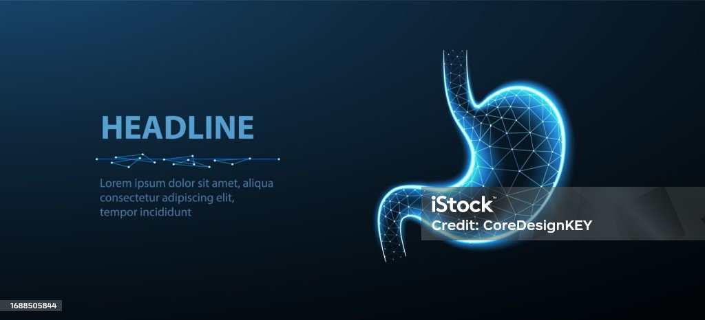 Abstrakti rautalanka vatsan kuvitus. Vatsan anatomia, 3D-gastroenterologia - Rojaltivapaa avainsanalla Mahalaukku ja tyyppiä kuvapankin vektori Abstrakti rautalanka vatsan kuvitus. Vatsan anatomia, 3D-gastroenterologia - Rojaltivapaa avainsanalla Mahalaukku ja tyyppiä kuvapankin vektori