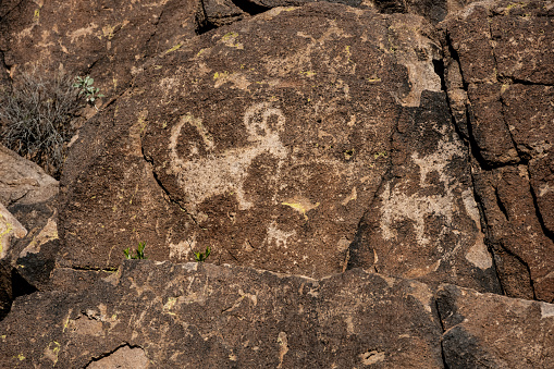 Pictographs On Brown Rock In Saguaro National Park close up