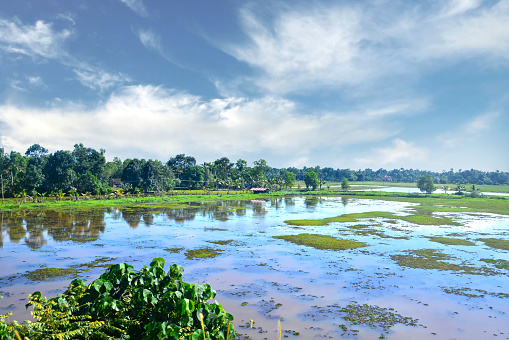 Beautiful lake in varkala kerala