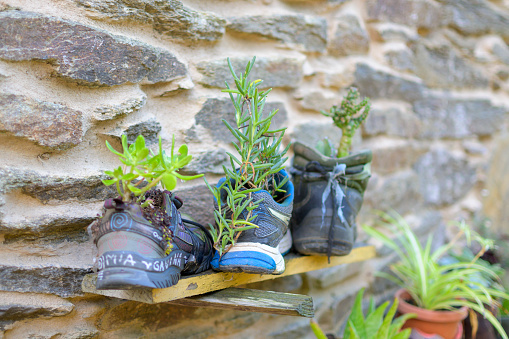 Arzua, Spain, September 10th 2023: View on hiking shoes used as flower pots en route of Camino de Compostela