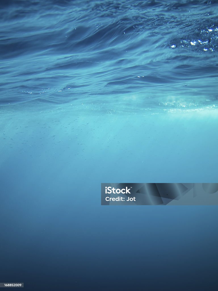 Vue du dessous - Photo de Sous l'eau libre de droits