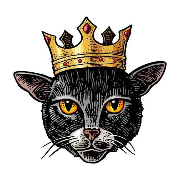 Vector illustration of Cat head with crown. Vintage vector color engraving