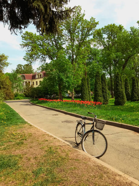 istock A bicycle with a basket stands in the garden 1688547504