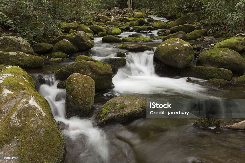 La tranquilidad de la cascada y el arroyo - Foto de stock de Aire libre libre de derechos