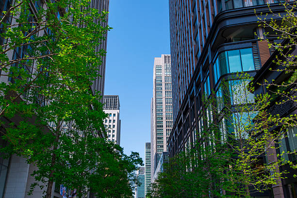 istock Green and Business Street 168855153