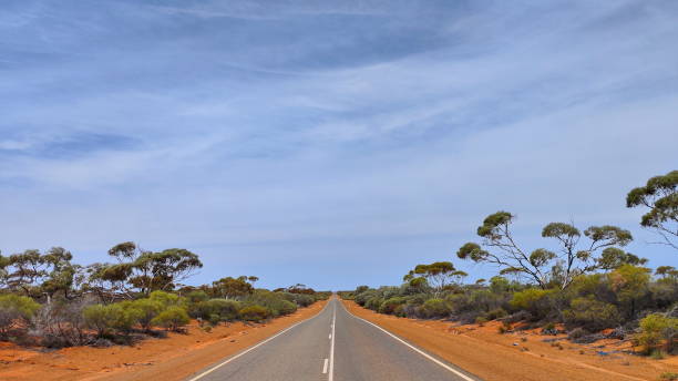 istock The outback way from Western Australia to South Australia 1688558392