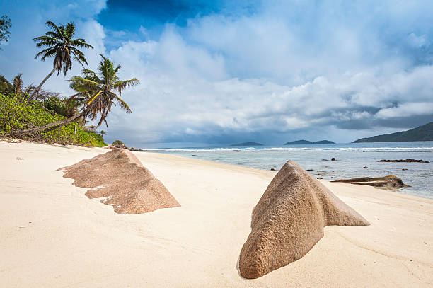 Dramatic tropical skies over the deserted palm-fringed sandy shore of a remote island beach overlooking the turquoise waters of an idyllic ocean lagoon. ProPhoto RGB profile for maximum color fidelity and gamut.