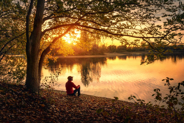 Man enjoying amazing sunset at a lake Man sitting under a tree and enjoying a tranquil beautiful sunset at a lake alone, with warm glowing colors tranquil scene stock pictures, royalty-free photos & images