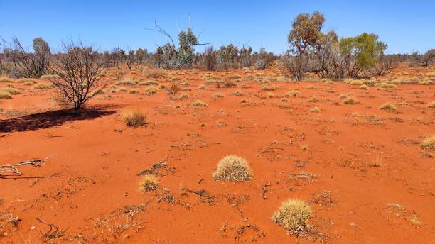 droga z australii zachodniej do australii południowej - 12018 zdjęcia i obrazy z banku zdjęć