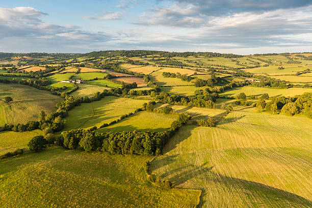 patchwork de paysages idylliques de champs verdoyants et de - welsh culture wales field hedge photos et images de collection