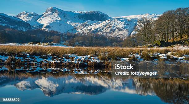 Lago District Nívea Picos Montañosos Que Reflejan En Tarn Cumbria Foto de stock y más banco de imágenes de Distrito de los Lagos de Inglaterra