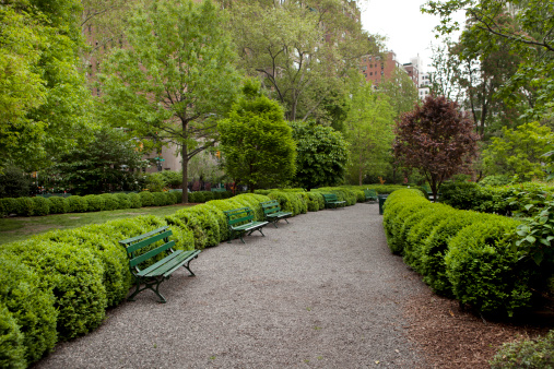 Wooden vintage bench in a public Park.