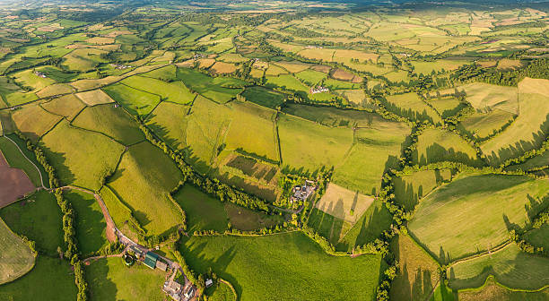 istock Bucolic patchwork landscape of summer fields aerial panorama 168856697