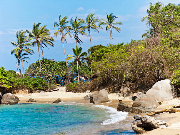 parc national de tayrona, colombie - magdalena photos et images de collection