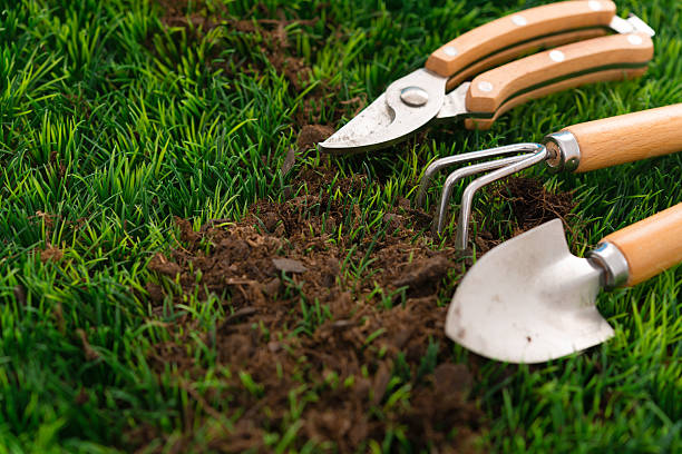 giardino strumenti manuali - shovel trowel dirt plant foto e immagini stock