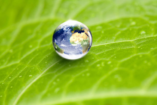 world globe in water drop on green leaf
