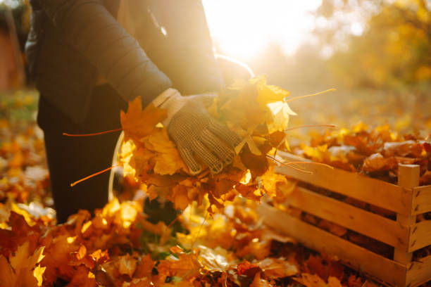 istock Volunteering, ecology or nature concept. 1688607372