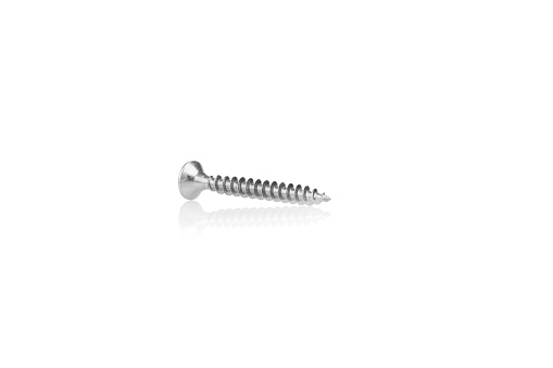 macro screw of silver color on a white background close-up