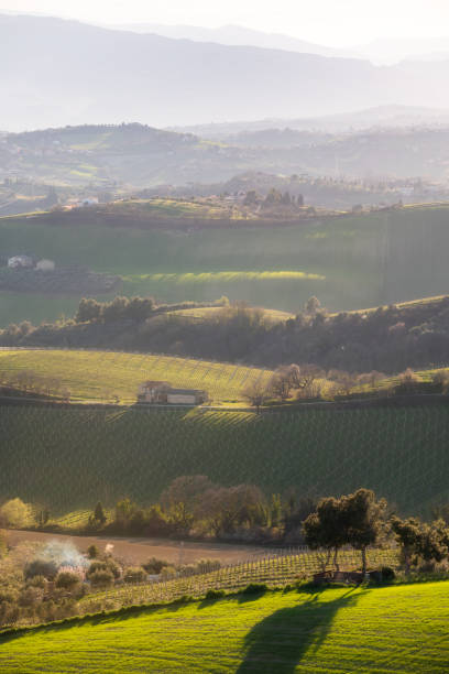 istock Countryside landscape, green agricultural fields among hills 1688647919