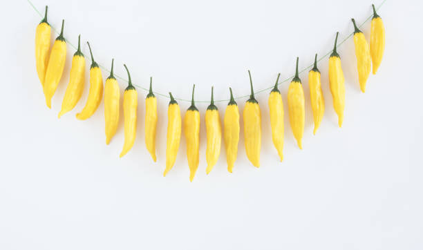 Hot Lemon Drop Peppers Strung up to Dry stock photo