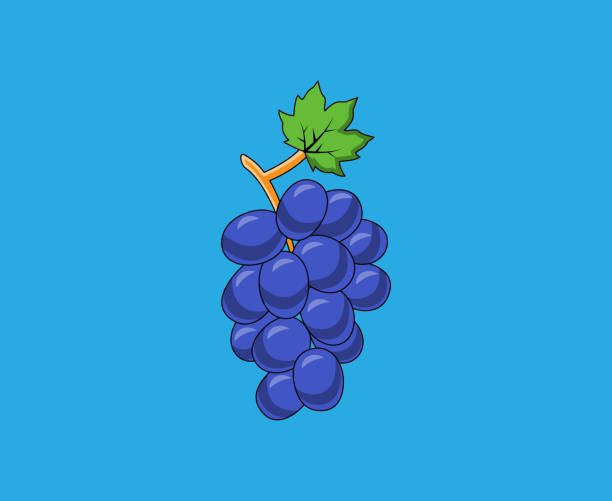 ilustrações, clipart, desenhos animados e ícones de ilustração vetorial de uvas roxas. um cacho de uvas frutíferas. uvas bonitas com design de folha verde. - red grape grape fruit sweet food