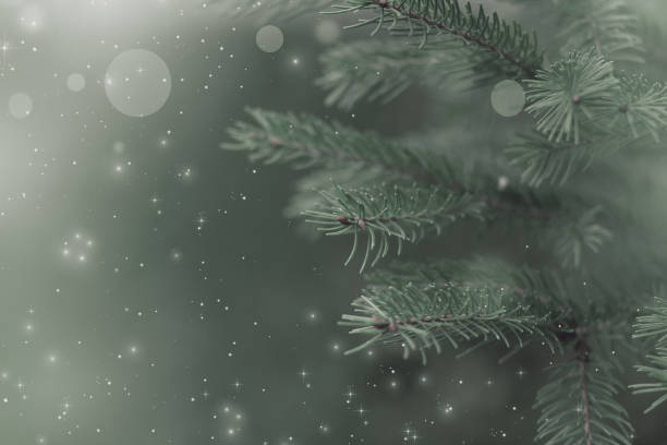 istock Christmas green background 1688713742