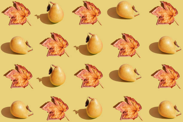 istock Creative pattern made raw pears and maple leaves on pastel background with shadow. Healthy food ingredient concept. Minimal style. 1688739148