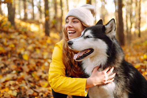 Happy woman with her husky dog walks in the autumn forest. A cheerful pet spends time with its owner outdoors. Concept of relaxation, fun.