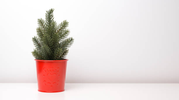 istock Christmas banner with tree in a backet against white background. Holidays banner with place for text 1688835803