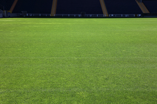 an interior of a football field with a green grassy covering. small training soccer field