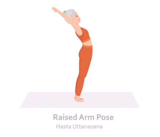 Vector illustration of Raised Arm Yoga pose. Hasta Uttanasana. Elderly woman practicing yoga asana. Healthy lifestyle. Flat cartoon character. Vector illustration