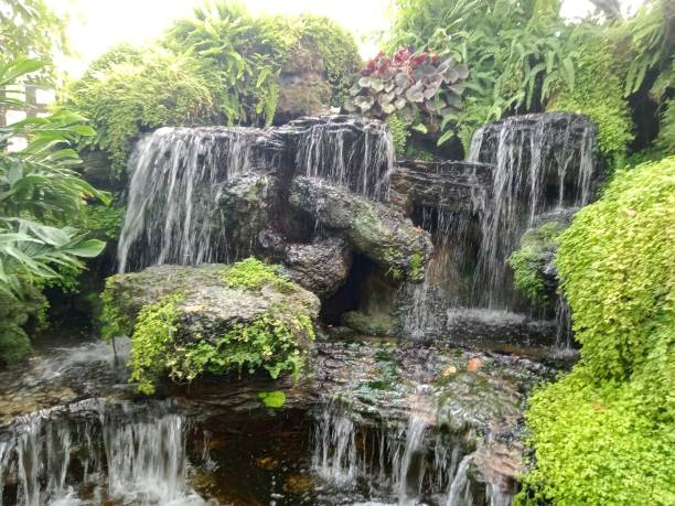 istock Beautiful outdoor waterfall garden with rocks, trees and fish 1688865339
