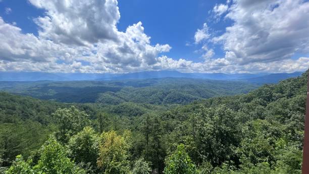 istock View from the cabin in Gatlinburg 1688867555