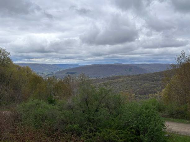 istock View from Stone Tower in Allegany State Park 1688868097