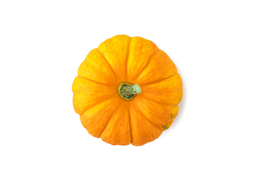 Autumn pumpkin, isolated on white