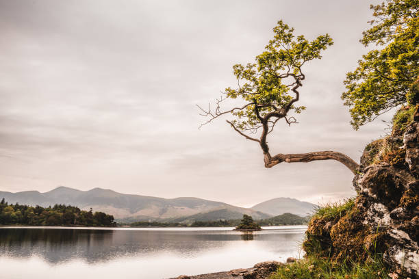 Sunrise at Derwentwater, Lake District, England, UK