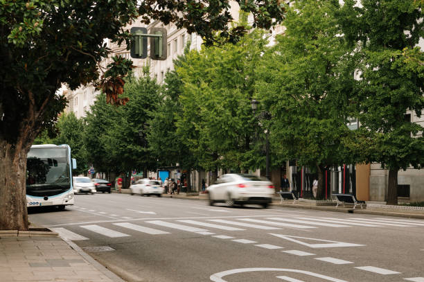 istock City street with trees 1688907009
