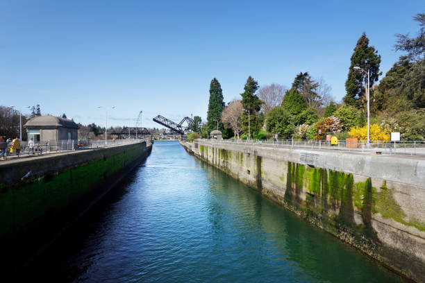 Ballard locks Ballard Locks, looking upstream with bridge open, Seattle ballard-seattle stock pictures, royalty-free photos & images