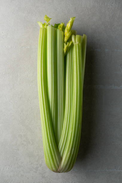 green celery on a gray concrete background stock photo