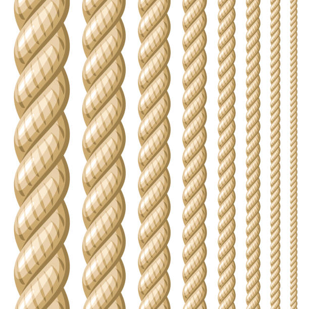 20+ Brown Nylon Rope Stock Illustrations, Royalty-Free Vector