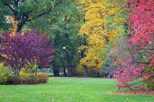 Gothenburg city park in autumn.