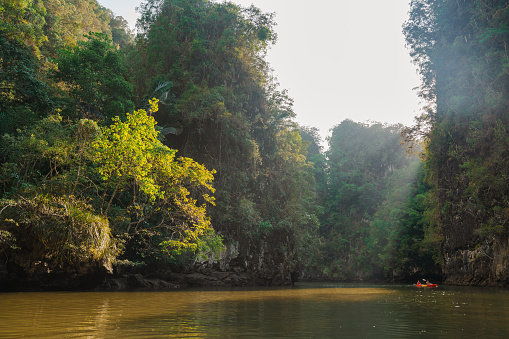 People kayaking among karst formations and mangrove forest in Thailand exploring the wilderness of tropical rainforest