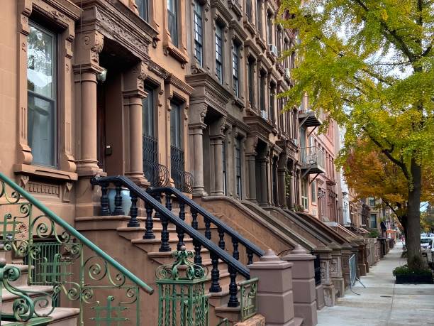 Row of elegant Harlem brownstone stoops in the fall Side view of a row of elegant Harlem brownstone homes and their colorful stoops next to a sidewalk with a ginkgo tree with changing leaves on a fall day in New York City row-house stock pictures, royalty-free photos & images