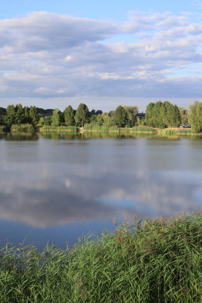 istock Scenery landscape with lake, trees and cloudy sky. 1688956180